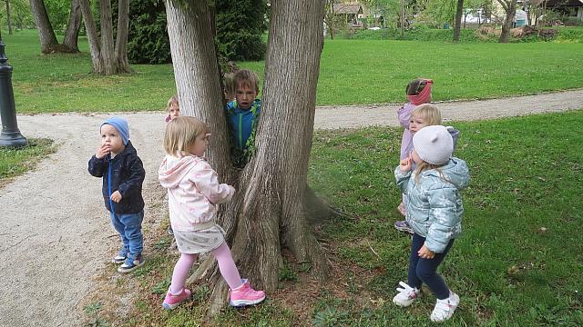 Gibanje v naravi (3)