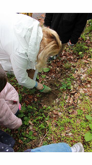 Gibanje v naravi (gozd) - žoge (2)