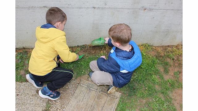 Gibanje v naravi (gozd) - žoge (3)