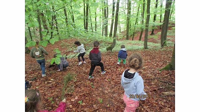 Igre v gozdu - Pedenjpedi (2)