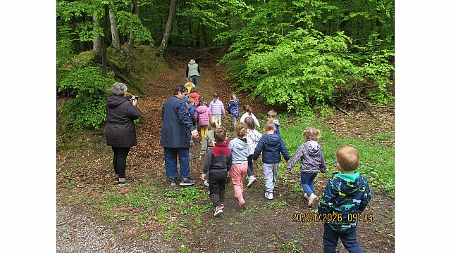 Igre v gozdu - Pedenjpedi (3)