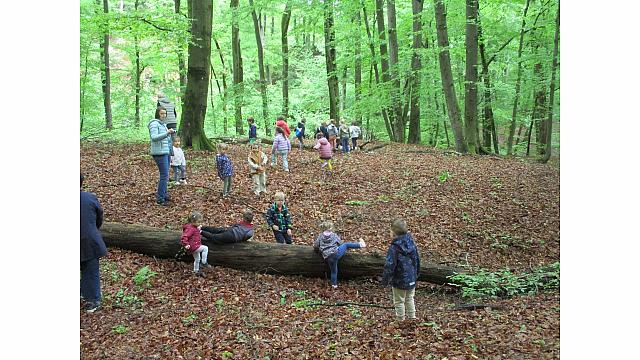 Pohod in igra v gozdu- Sovice (6)