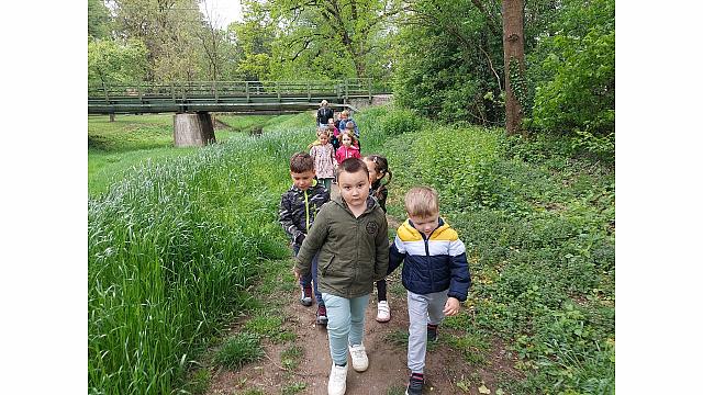 gibanje v naravi Muzikanti (1)