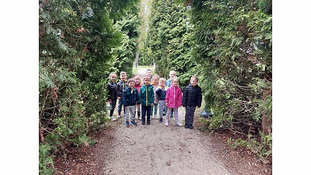 gibanje v naravi Muzikanti (2)