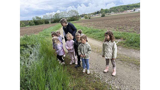 pohod v gozd - Lizike (1)