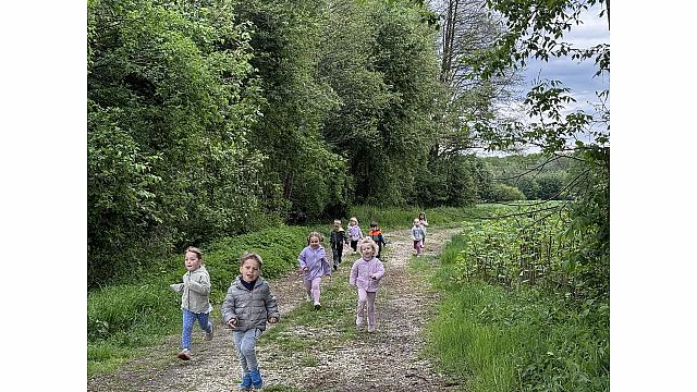 pohod v gozd - Lizike (2)