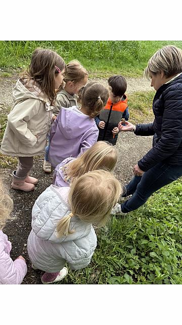 pohod v gozd - Lizike (3)