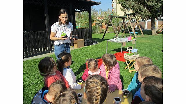 VRTNARIMO ... SOVICE (3)