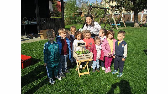 VRTNARIMO ... SOVICE (6)