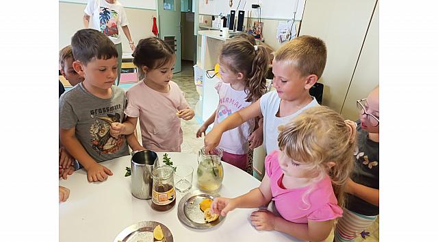 priprava zeliščnega napitka (6)