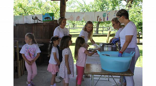 IMG 7919