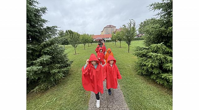 IMG 7167
