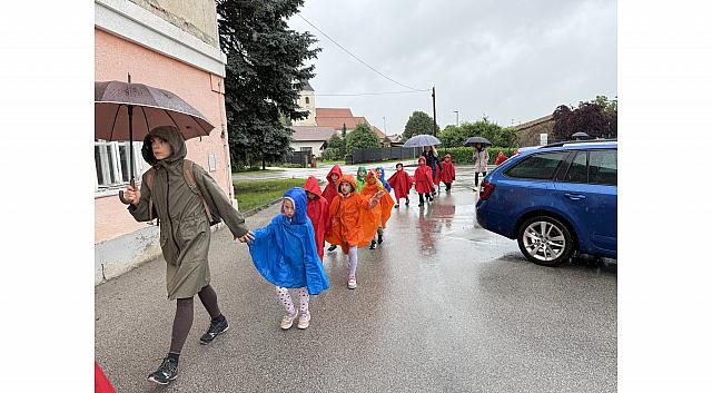IMG 7168
