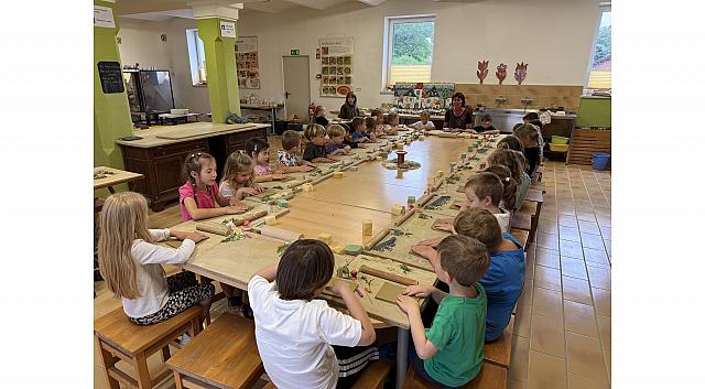 IMG 7174