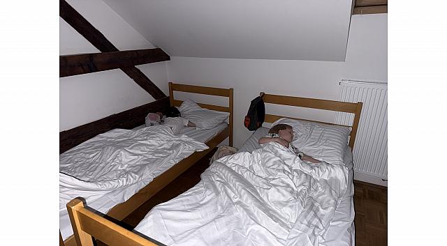 IMG 7287