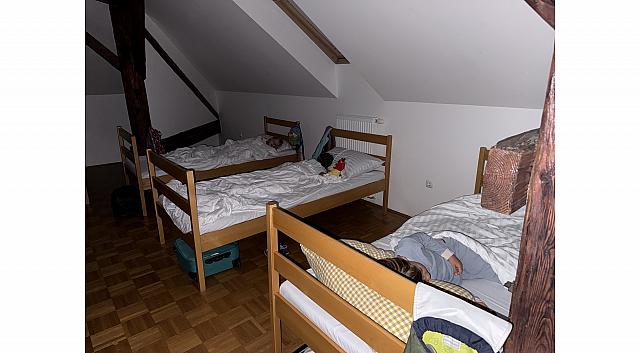 IMG 7288