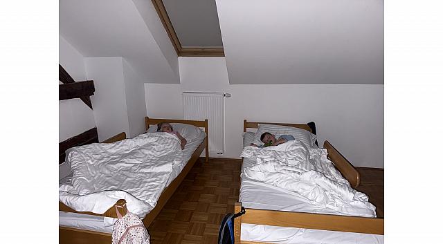 IMG 7290