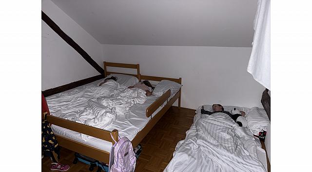 IMG 7291