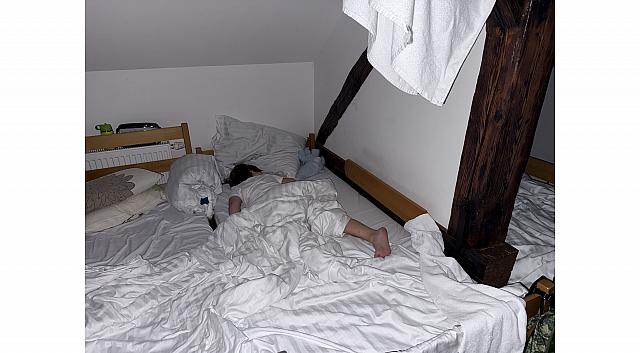 IMG 7292