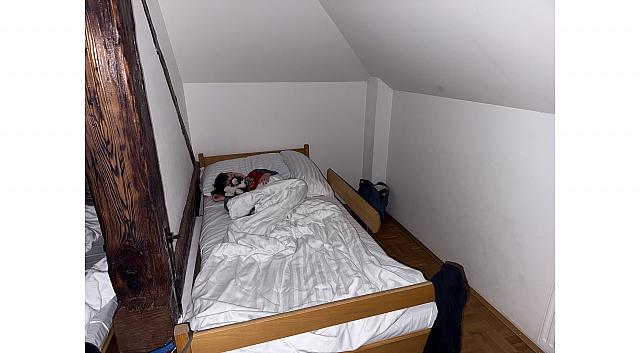 IMG 7294
