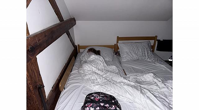 IMG 7300