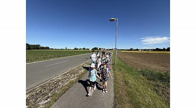 IMG 7317
