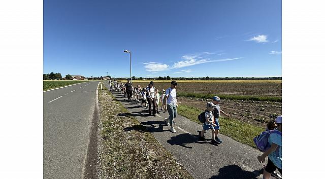 IMG 7318