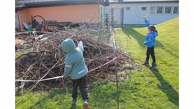 Rezanje in pospravljanje trsja z Nado (10)