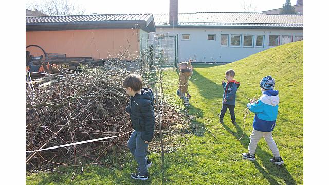 Rezanje in pospravljanje trsja z Nado (11)