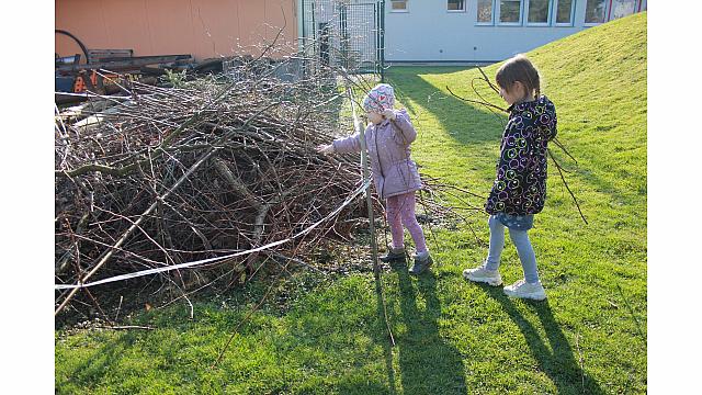 Rezanje in pospravljanje trsja z Nado (8)
