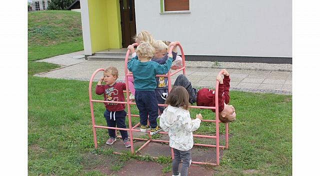 IMG 8748