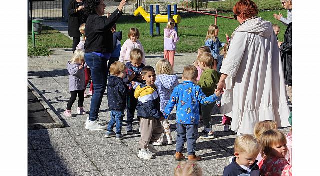 IMG 8982