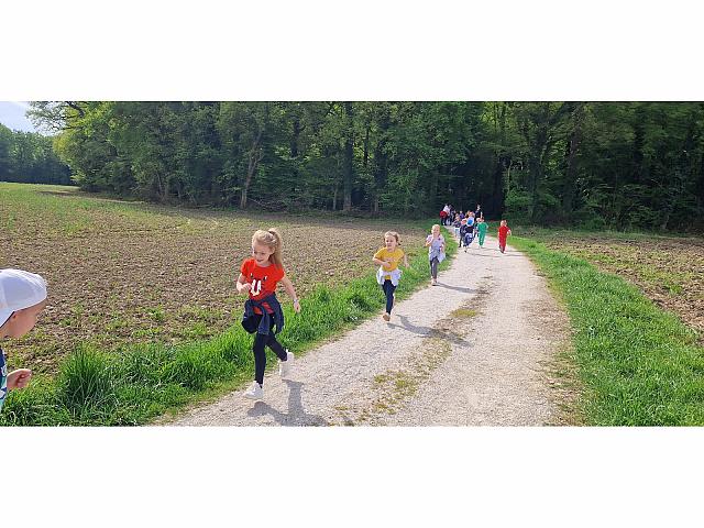 Pohod v naravi , Veliki pedenjpedi in čebelice (8)