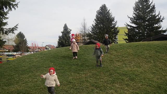 volk lovi rdečo kapico in prašičke (1)