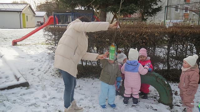 Hranjenje ptic in nastavljanje hišk (3)