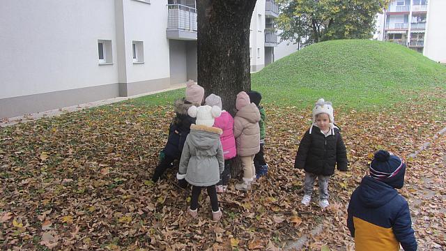 drevesa zdravijo in nam dajejo naravne igrače (1)