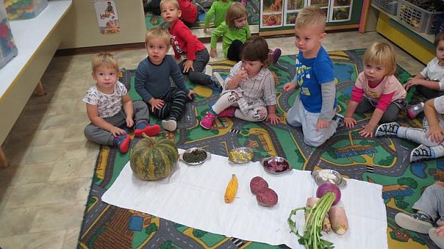 Ogledovanje, tipanje, vonjanje, okušanje jesenskih poljskih pridelkov (semena buč, kuhana koruza, rdeča pesa, repa) (21)