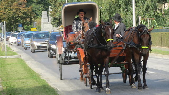 konjska vprega