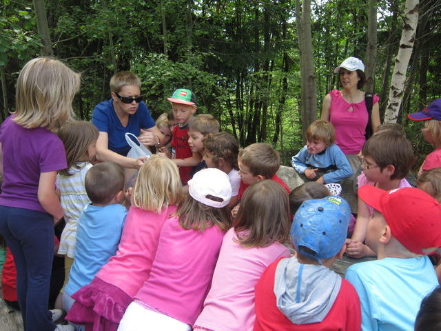 TOJZLOV VRH 2012 053