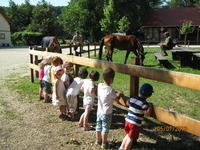 veliki park hipodrom 12 