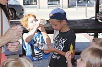 IMG 6791