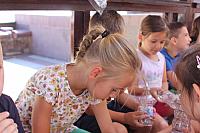 IMG 6792