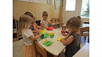 IMG 6217