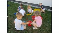 IMG 6236