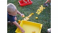 IMG 6238