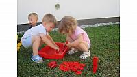 IMG 6239