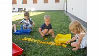 IMG 6242