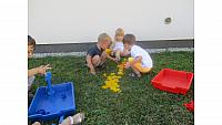 IMG 6246
