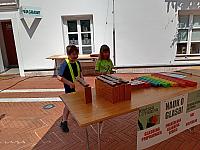 Glasbena šola se predstavi (25)