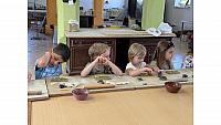 IMG 7967